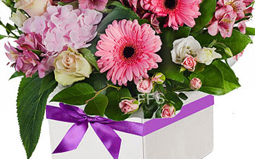 Sympathy Flowers Melbourne Sympathy Flowers Melbourne