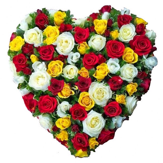 Rainbow Heart of Roses