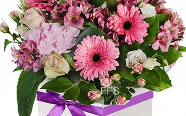 SYMPATHY FLOWERS View Range Shop now